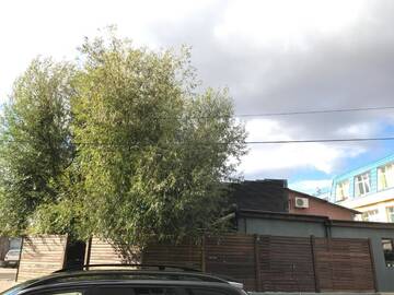 Фото номера Стандартный двухместный номер с 1 кроватью Гостевой дом Club Robert Motel г. Hîrşova 8