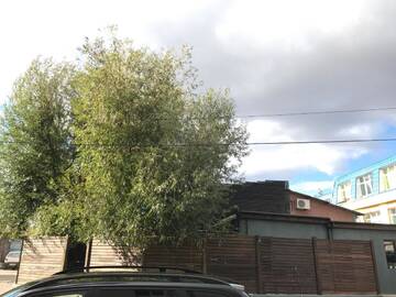 Фото номера Стандартный двухместный номер с 1 кроватью Гостевой дом Club Robert Motel г. Hîrşova 5